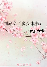 到底穿了多少本书？章节列表