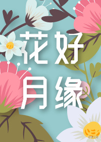 花好月缘章节列表