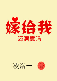 嫁给我还满意吗章节列表