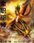 全职巫师章节列表