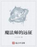 魔法师的远征章节列表