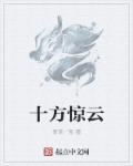 十方惊云章节列表