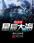 星辰大海的过客章节列表