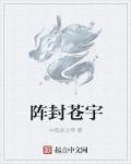 阵封苍宇章节列表