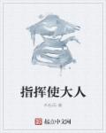 指挥使大人章节列表