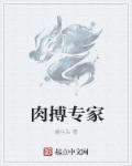 肉搏专家章节列表