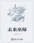 未来巫师章节列表