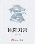 纯阳刀宗章节列表