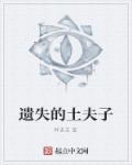 遗失的土夫子章节列表