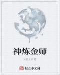 神炼金师章节列表