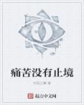 痛苦没有止境章节列表
