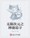 无限次元之神迹追寻章节列表
