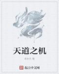 天道之机章节列表