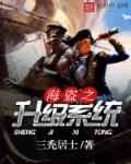 海盗之升级系统章节列表