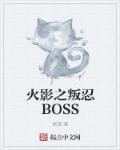 火影之叛忍BOSS章节列表