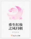 重生红妆之凤归朝章节列表
