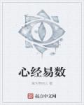 心经易数章节列表