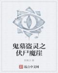 鬼墓盗灵之伏尸魔崖章节列表