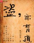 盗，亦有道章节列表
