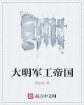 大明军工帝国章节列表