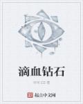 滴血钻石章节列表