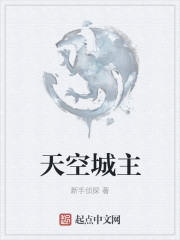天空城主章节列表