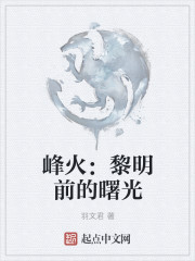 峰火：黎明前的曙光章节列表
