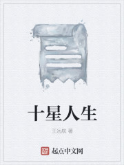 十星人生章节列表