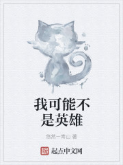 我可能不是英雄章节列表