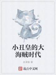 小丑皇的大海贼时代章节列表