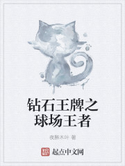 钻石王牌之球场王者章节列表