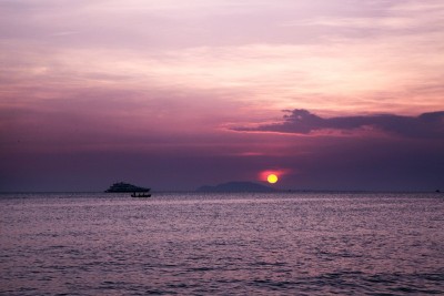 秋海共潮生章节列表