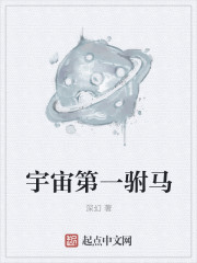 宇宙第一驸马章节列表