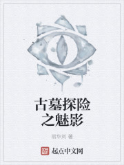 古墓探险之魅影章节列表