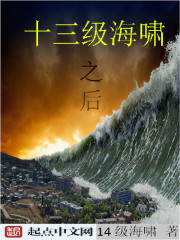 13级海啸之后章节列表