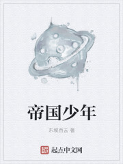 帝国少年章节列表
