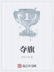 夺旗章节列表