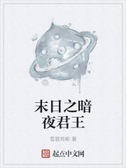 末日之暗夜君王章节列表