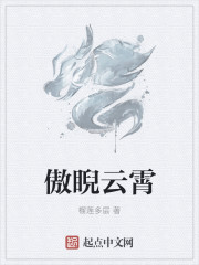 傲睨云霄章节列表
