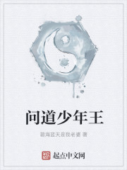 问道少年王章节列表