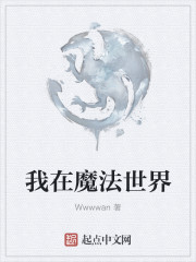 我在魔法世界章节列表