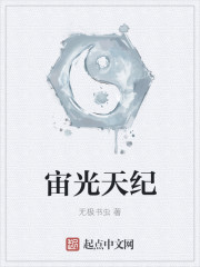 宙光天纪章节列表