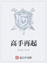 高手再起章节列表