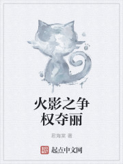 火影之争权夺丽章节列表