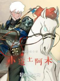 小道土阿木章节列表