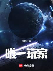 唯一玩家章节列表
