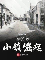 鞋乡之小镇崛起章节列表