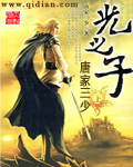 光之子章节列表