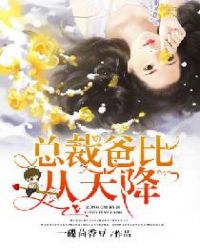 总裁爸比从天降章节列表