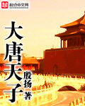 大唐天子章节列表